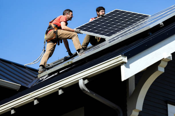 Best Roof Moss and Algae Removal  in Bar Nunn, WY